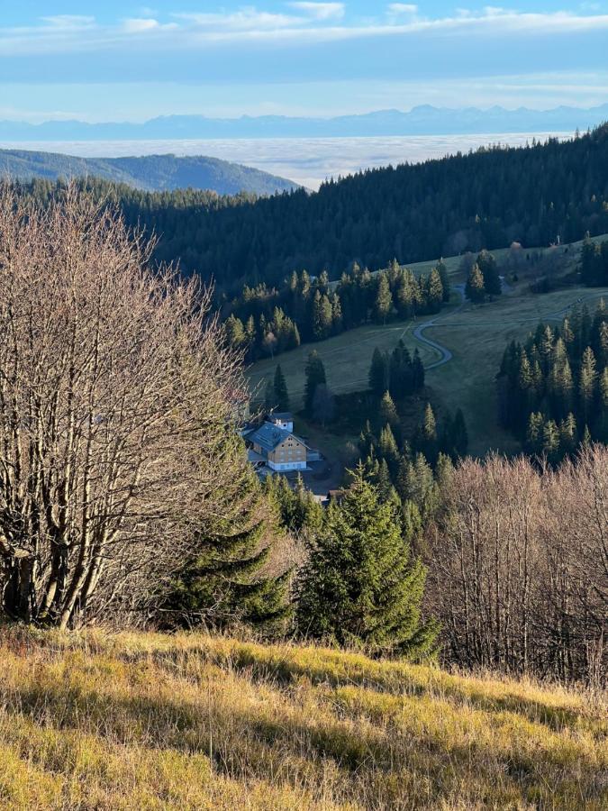 Haus Wiesenquelle, Deluxe-apartment 'feld & Berg' Apartment Feldberg (Baden-Wurttemberg)